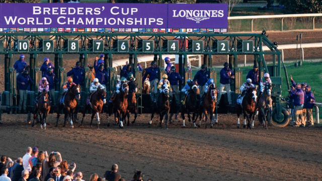 Breeders Cup World Championships