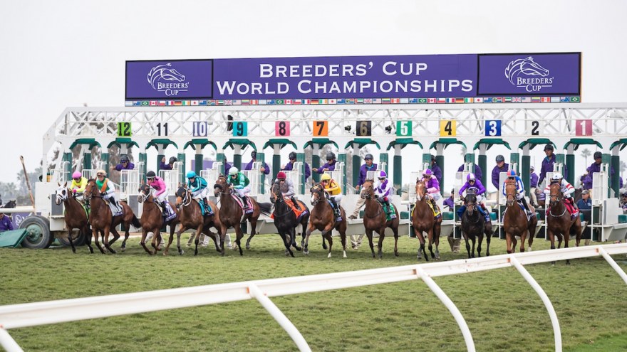 Breeders’ Cup 2024